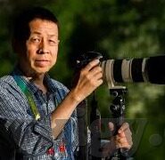 伦理国产-伦理国产，重塑文化自信与道德担当的深度思考