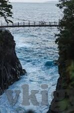糖心app短视频下载-分享糖心App——一个短视频制作的创意宝地